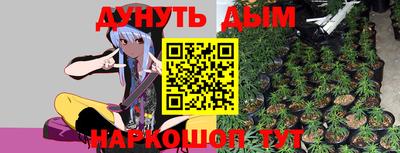 хмурый Кингисепп